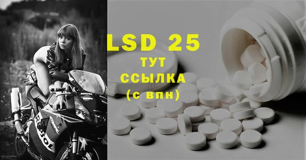 ПСИЛОЦИБИНОВЫЕ ГРИБЫ Арсеньев