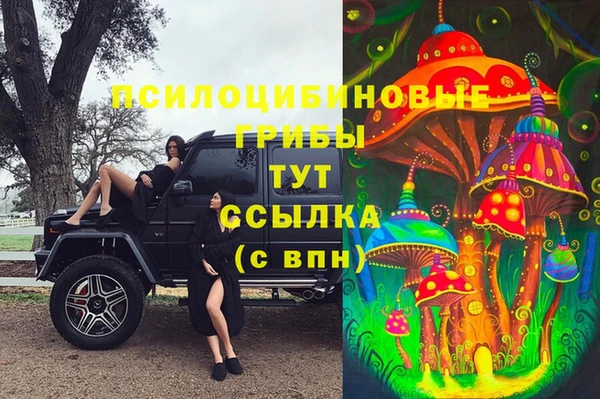 гидра Алексин